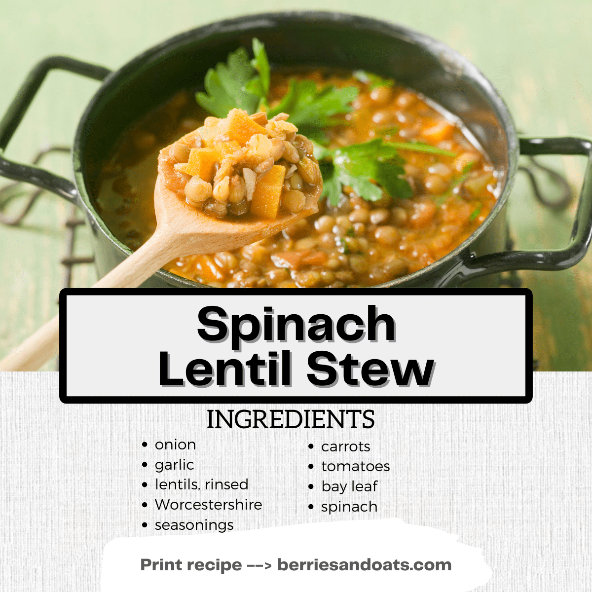Spinach Lentil Stew